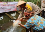 Polres Ende Serahkan Benih Ikan Koi untuk Kelompok Tani Wongamengi di Desa Kedebodu