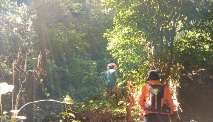 Tim SAR Gabungan Tutup Pencarian Nenek yang Hilang di Hutan Mapitara Sikka, Korban Dinyatakan Hilang