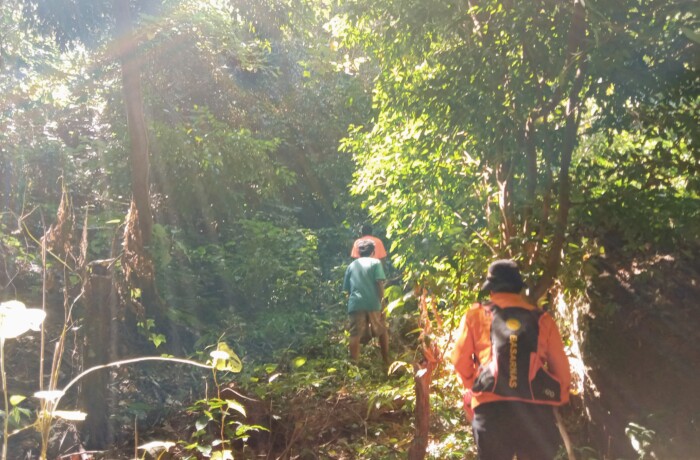 Tim SAR Gabungan Tutup Pencarian Nenek yang Hilang di Hutan Mapitara Sikka, Korban Dinyatakan Hilang 1 1000834243