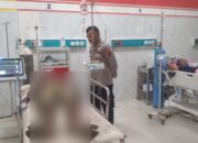 Diduga Aniaya Kakek Hingga Tewas, Sorang Pria di Sikka Ditangkap Polisi