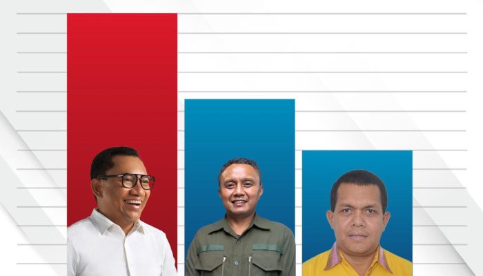 Bocoran Survei Indikator Politik: Citra Personal Ansy Lema Lebih Positif Dibanding Simon Kamlasi dan Melki Laka Lena