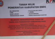 Breaking News: KPK Bantu Pemda Ende Pasang Plang di Bangunan Alfamart, Ini Alasannya!