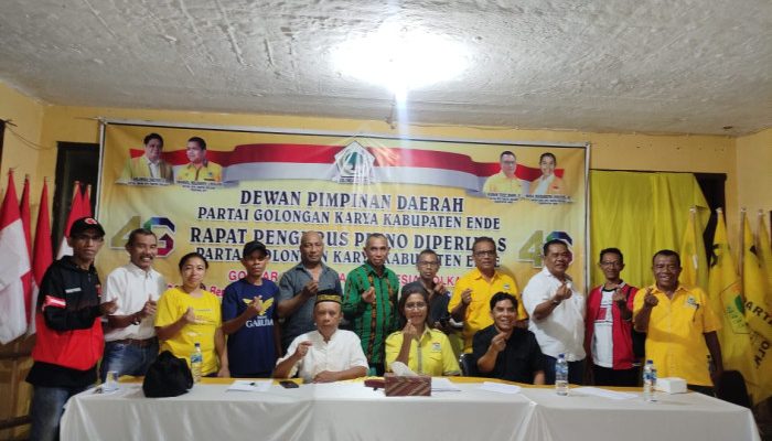 Didapuk Jadi Ketua Tim Pemenangan, Megi Sigasare: Melki-Johni Harus Menang di Kabupaten Ende