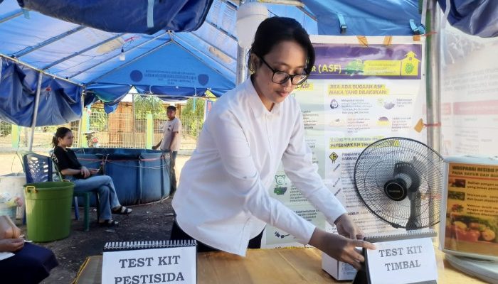 Dinas Pangan Daerah Nagekeo Buka Stand Tes Residu Pestisida dan Timbal di Arena Festival One Be