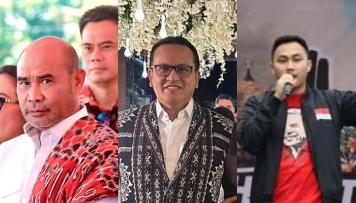 Mengenal Tiga Anggota DPR RI Asal NTT yang Dilantik Karena PAW