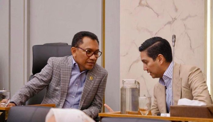 Ansy Lema Tepis Isu Prabowo Tidak Akan Bantu Kepala Daerah di Luar Koalisi KIM