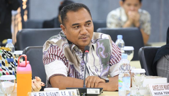 Senator Muda NTT, Angelo Wake Kako Terpilih Jadi Pimpinan Komite II DPD RI