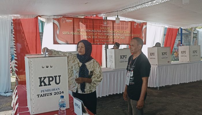 Pilkada Serentak 2024, 491 Pemilih di TPS 04 Kelurahan Tetandara Ende Lakukan Pencoblosan Hari Ini