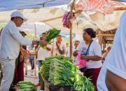 Ansy-Jane Usung Program Pembangunan Berbasis Kewilayahan