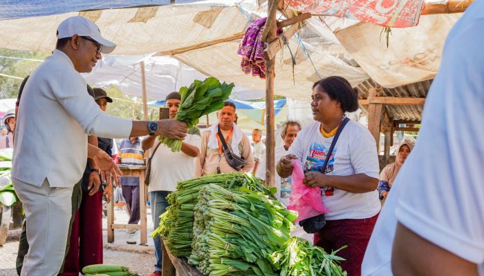 Ansy-Jane Usung Program Pembangunan Berbasis Kewilayahan