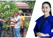 Julie Sutrisno Laiskodat Salurkan Ribuan Anakan Tanaman Buah untuk Kelompok Tani To’o Jogho di Nagekeo
