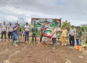 Dukung Program Swasembada Pangan, Polsek Wolowaru Tanam Jagung di Lahan Seluas Satu Hektar