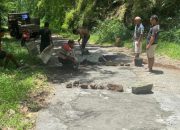 Politisi PAN Ngada Flori Rero Perbaiki Jalan Tada-Waebela yang Rusak