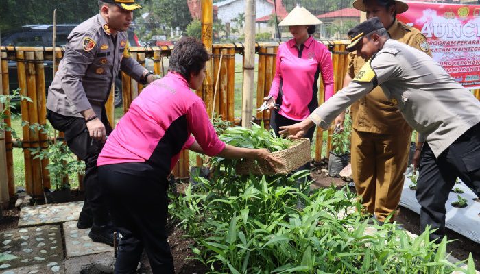 Perkuat Ketahanan Pangan dan Dukung Program Makan Siang Gratis, Polres Ende Launching P2L