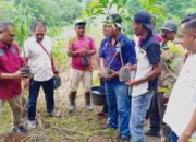 Angelo Siap Sukseskan Desa Tutubhada sebagai Desa Buah Tropis