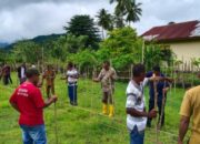 Angelo Inisiasi Penanaman Perdana Kayu Gamal di Desa Ekoae