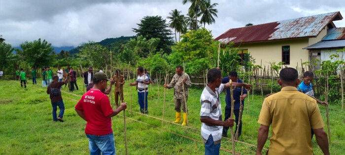 Angelo Inisiasi Penanaman Perdana Kayu Gamal di Desa Ekoae
