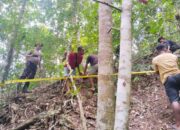 Breaking News: Kerangka Manusia Ditemukan di Jurang Koramera Ende, Identitas Korban Terungkap