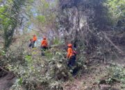 Tim SAR Gabungan Intensifkan Pencarian Nenek Tomasine yang Hilang Saat Mencari Kayu di Sikka