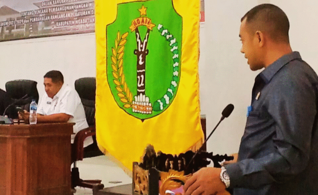 Pansus DPRD Ngada Rekomendasikan Sejumlah Perbaikan Dokumen RPJMD 2025-2029