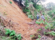 Longsor Lumpuhkan Jalur Penghubung Enam Desa di Pulau Ende