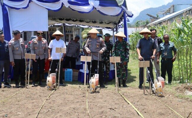 Polres Ende Tanam Jagung Serentak Dukung Program Swasembada Pangan Nasional 2025
