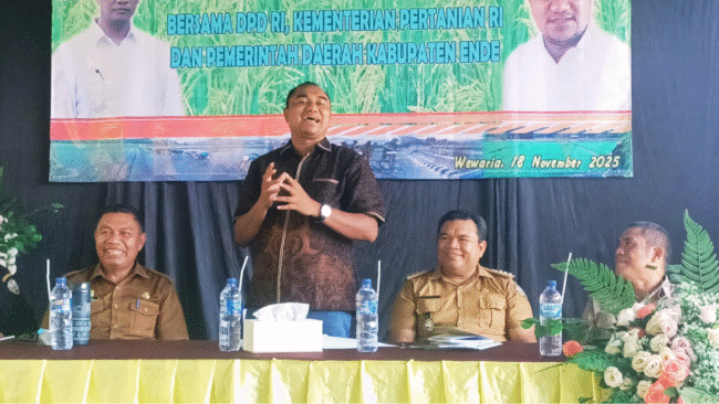 AWK Dorong Pemda Ende Maksimalkan Program Cetak Sawah Rakyat untuk Perkuat Ketahanan Pangan