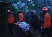 Tim SAR Gabungan Temukan Kakek Aloysius Setelah Tiga Hari Hilang di Hutan Flores Timur