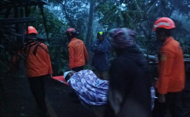 Tim SAR Gabungan Temukan Kakek Aloysius Setelah Tiga Hari Hilang di Hutan Flores Timur