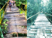 Siswa SD Kesulitan Sebrangi Sungai, Ansel Kaise Minta Pemkab Ende Rehab Jembatan Gantung Tenda Ondo