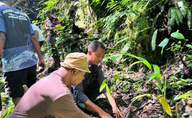 Sambut HPN 2026, Wartawan Ende Bersatu Tanam Pohon di Sumber Mata Air dan Jalan Nasional