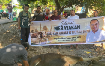 Senator Angelius Wake Kako Serahkan Hewan Kurban untuk Umat Muslim di Masjid Yam Nursalam Lembata 5 IMG 20260527 142739