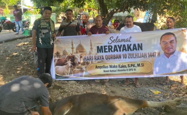 Senator Angelius Wake Kako Serahkan Hewan Kurban untuk Umat Muslim di Masjid Yam Nursalam Lembata
