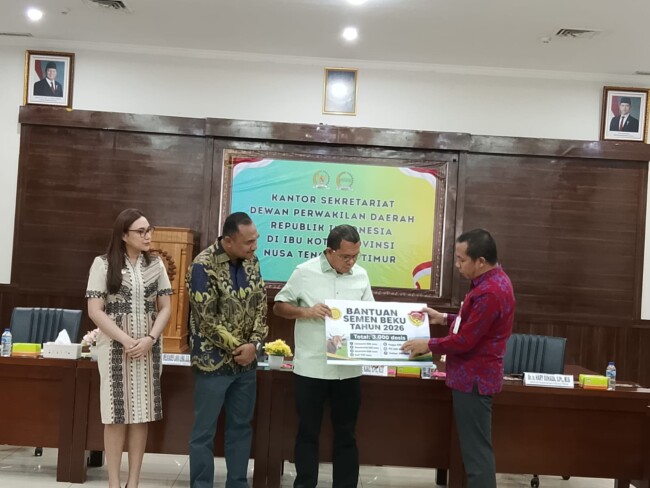 Gubernur NTT Apresiasi Peran Senator AWK Fasilitasi Bantuan 3.000 Dosis Semen Beku untuk Peningkatan Populasi Sapi 1 IMG 20260612 WA0006