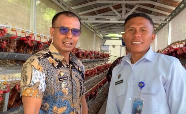 Dukung UMKM dan Jaga Pasokan Telur, Korwil BGN Ende dan Camat Ende Tengah Tinjau Peternakan Tunas Baru
